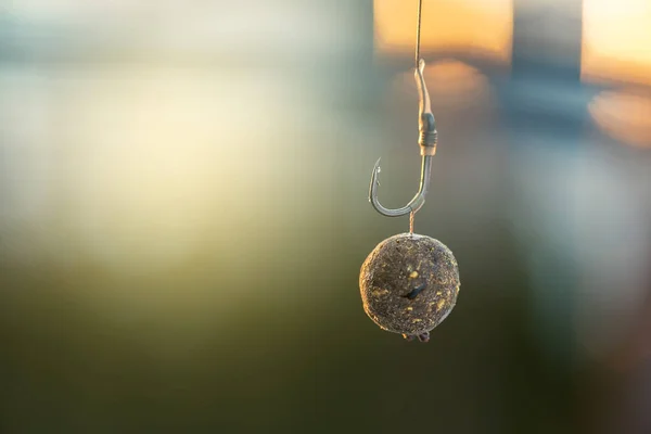 Pesca Delle Carpe Diversi Boilie Carpe Accessori Pesca Della Carpa — Foto Stock