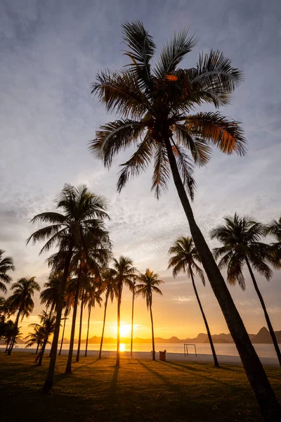 Krásný Výhled Žluté Slunce Vycházející Městské Pláži Palmami Aterro Flamengo — Stock fotografie