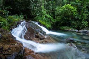 Vahşi yeşil arazi üzerinde mavi kristal berrak su havuzu olan güzel Atlantik yağmur ormanı nehri, Serrinha do Alambari, Serra da Mantiqueira, Rio de Janeiro, Brezilya