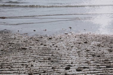 Beyaz kumsalda manzara günbatımı