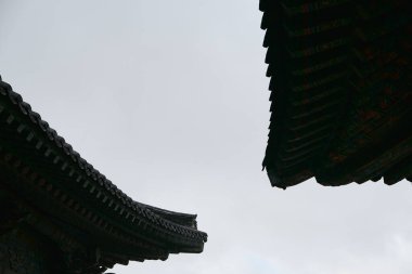 Güney Kore, Busan 'daki Budist Tapınağı Haeun-jeungsa' nın çatıları.
