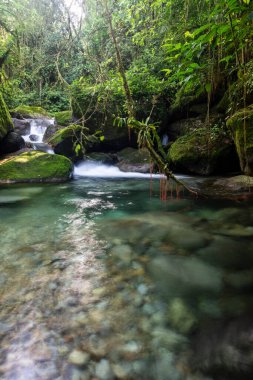 Güzel kristal berrak nehir, yeşil yağmur ormanı manzarasında mavi su, Rio de Janeiro dağlarında Serrinha Ekolojik Rezervi, Brezilya