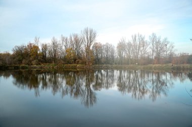 Gün doğarken gölün üzerindeki sis gölgelerdeki suya ve ağaçlara bakıyor..
