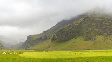 Dağların güzel manzarası