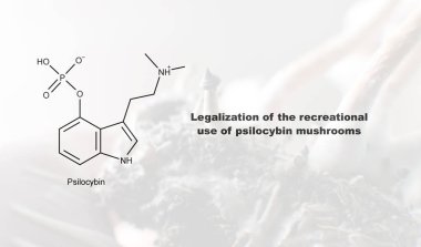Psilosibin mantarlarının eğlence amaçlı kullanımının yasallaştırılması, psilosibin ve insan vücudu üzerindeki etkisi