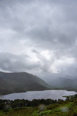 Yağmurlu bir günde İskoçya 'da Glen Affric yolu