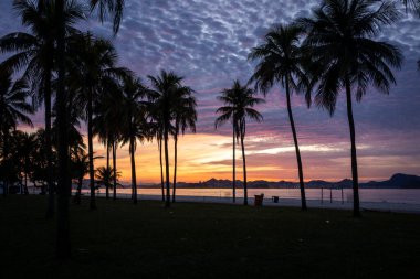 Güneşin doğuşuna güzel bir manzara şehir plajında renkli bulutlar ve palmiye ağaçları, Aterro do Flamengo, Rio de Janeiro, Brezilya