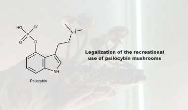 Psilosibin mantarlarının eğlence amaçlı kullanımının yasallaştırılması, psilosibin ve insan vücudu üzerindeki etkisi