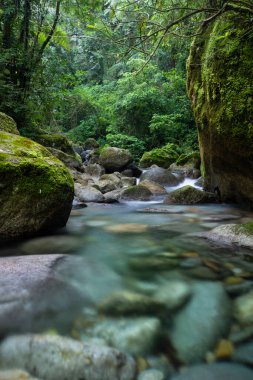 Vahşi yeşil arazi üzerinde mavi kristal berrak su havuzu olan güzel Atlantik yağmur ormanı nehri, Serrinha do Alambari, Serra da Mantiqueira, Rio de Janeiro, Brezilya