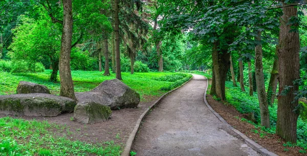 Bila Tserkva Ucraina 2020 Parco Alessandria Bila Tserkva Uno Degli — Foto Stock