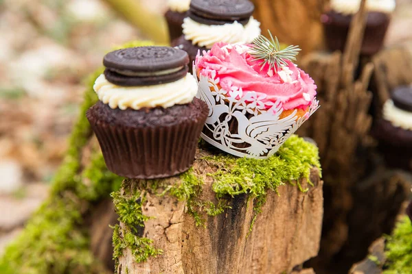 Cupcake Kuchen Mitten Wald Auf Einem Moos Dunkle Sahne Mit — Stockfoto