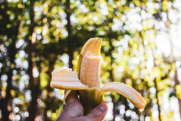 Hand Holding Banana Fruit Beach — Zdjęcie stockowe