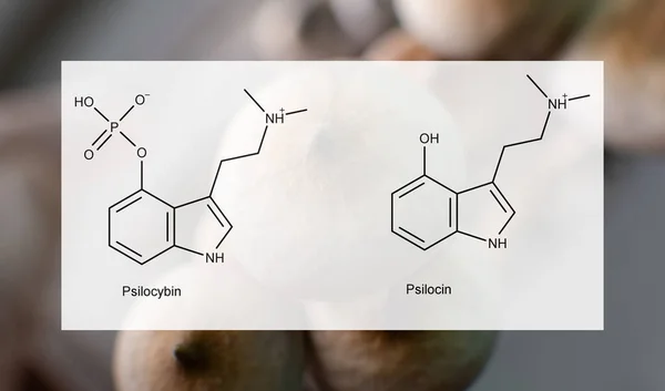 Medical Effects Psilocybin Psilocin Psychological Physical Health People Legalization Recreational — Stock Photo, Image