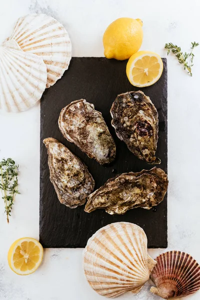 生牡蛎烹调和配料 — 图库照片