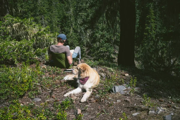 Reading Mountains Dog Laying Sun — Stock Photo, Image