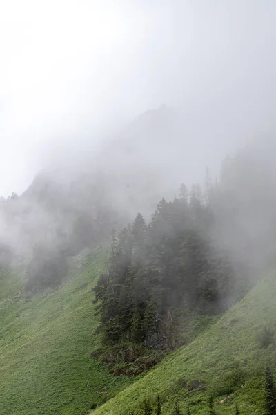 Beautiful Landscape Fog Clouds — Stock Photo, Image