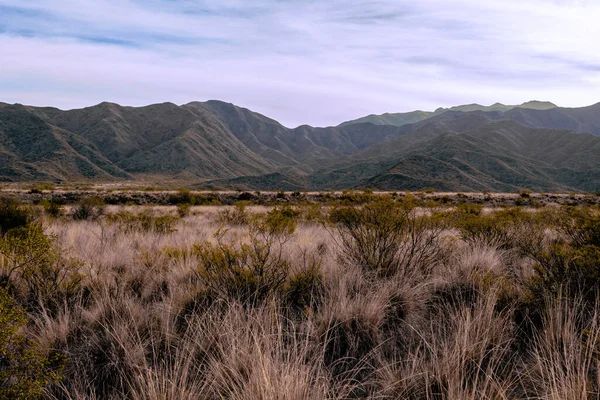 Meravigliosa Montagna Nel Campo Pieno Cespugli Secchi Mendoza — Foto Stock