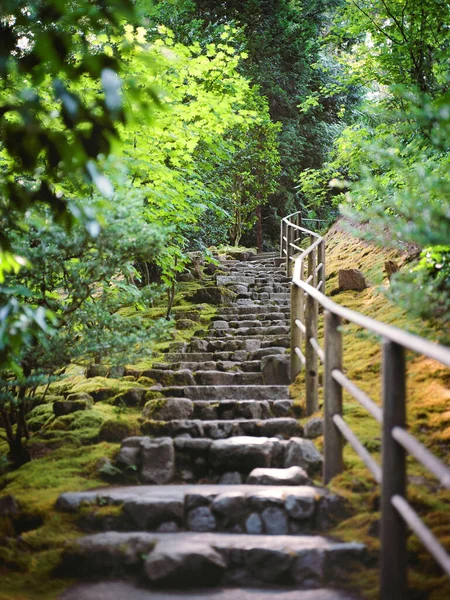 Escalera Piedra Que Conduce Una Pasarela Través Del Bosque —  Fotos de Stock