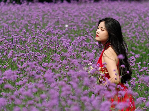 Verbena Çiçek Tarlasının Yanındaki Kırmızı Elbiseli Genç Çinli Kızın Portresi — Stok fotoğraf