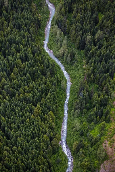 Fluss Fließt Durch Grünen Wald — Stockfoto