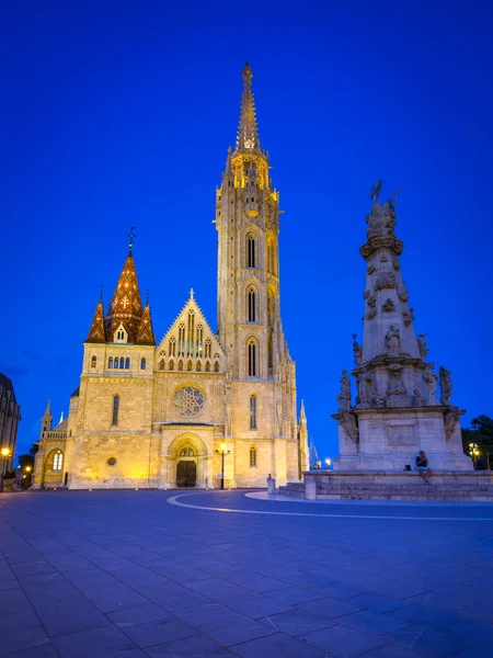 Budapest Ungern Augusti 2018 Utsikt Över Treenighetskolonnen Och Matthias Kyrka — Stockfoto