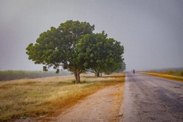 Beautiful Shot Road Countryside — Stock Photo, Image