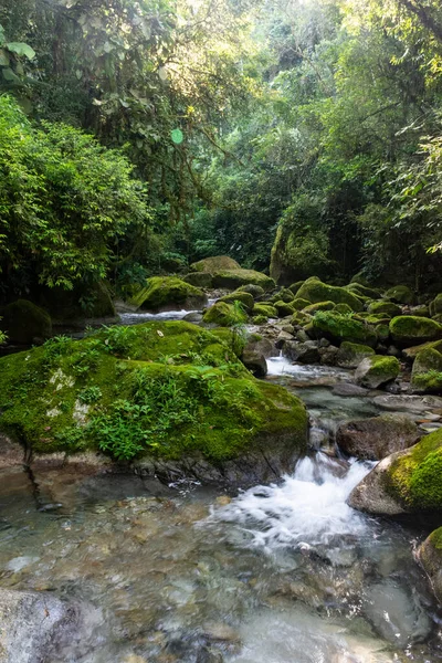 Belo Rio Mata Atlântica Com Água Correndo Sobre Paisagem Verde — Fotografia de Stock