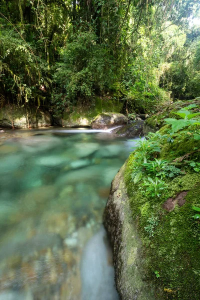 Belo Rio Cristalino Com Água Azul Paisagem Verde Floresta Tropical — Fotografia de Stock