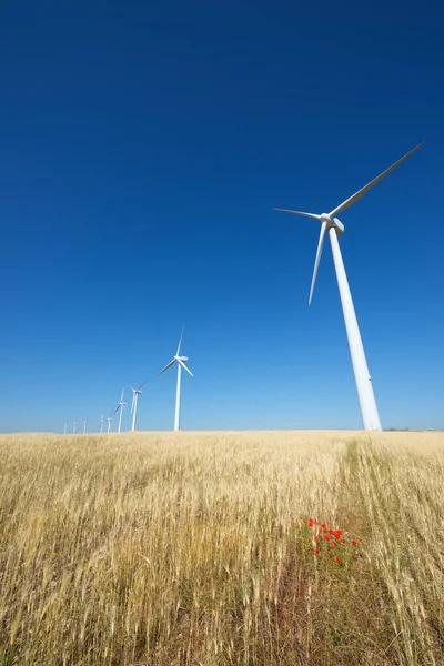 Molinos Viento Para Producción Energía Eléctrica Provincia Zaragoza Aragón España — Foto de Stock