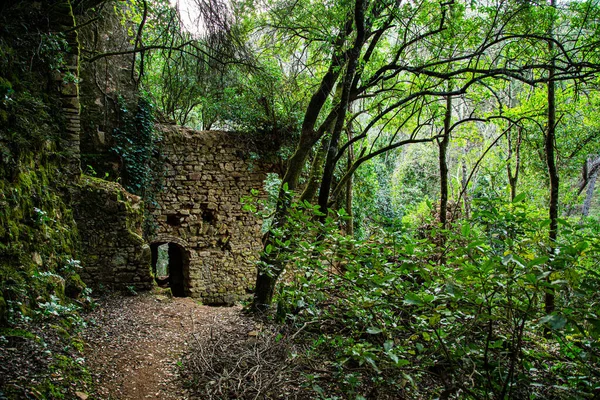 Piękny Widok Park — Zdjęcie stockowe