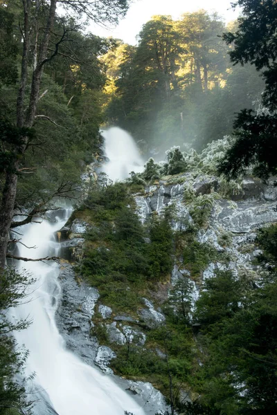 Cascada Bosque —  Fotos de Stock