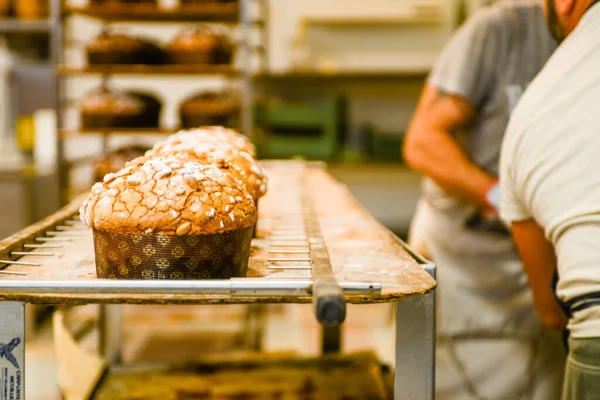 Chef Panettiere Che Prepara Panettone Dolce Natalizio Italiano Panetteria — Foto Stock