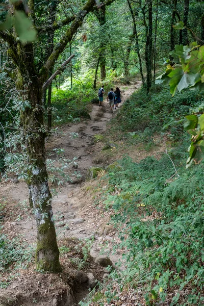 Beautiful View People Hiking Path Woods Peneda Geres National Park — Stock Photo, Image