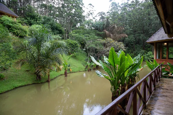 One Small Wooden Bridge Small River Rainforest Madagascar — Stock Photo, Image