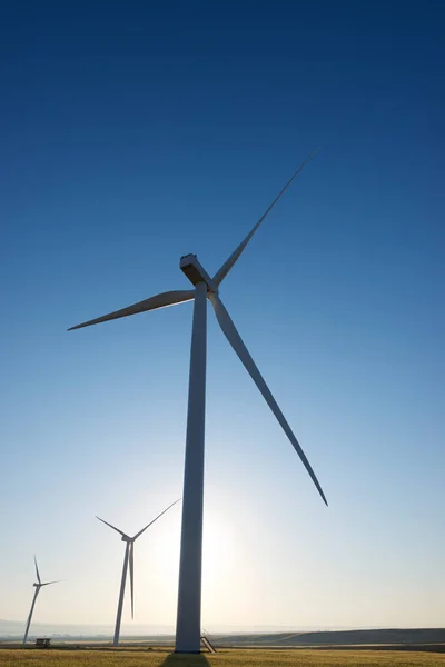 Molinos Viento Para Producción Energía Eléctrica Provincia Zaragoza Aragón España — Foto de Stock