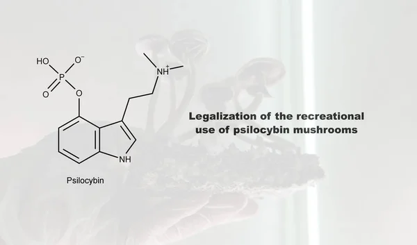 Legalization of the recreational use of psilocybin mushrooms, psilocybin and its effect on the human body
