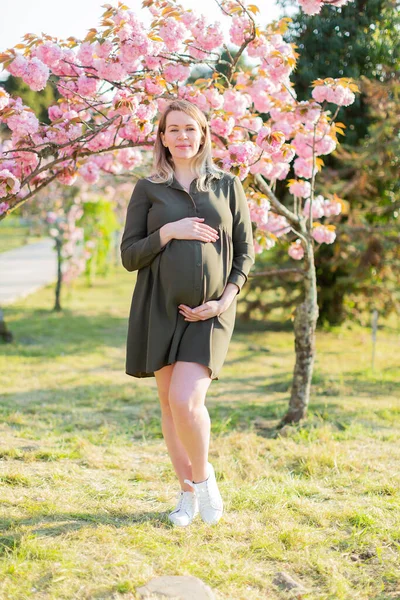 春の公園の優しい妊婦 桜の木 柔らかい焦点の妊婦の肖像画 — ストック写真