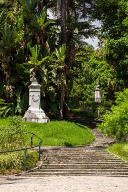 Lizbon, Portekiz 'in merkezindeki Tropik Botanik Bahçesi