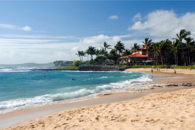 Palmiye ağaçları ve mavi gökyüzü olan güzel sahil