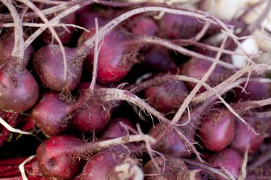 Los Angeles 'ta bir çiftçi pazarında taze pancar..