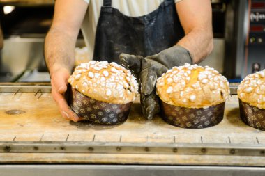 Aşçı panettone hazırlıyor İtalyan noel pastası pastanede