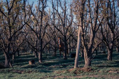 Parkın güzel manzarası