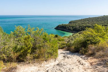 Güneşli bir günde Setubal, Lizbon, Portekiz yakınlarındaki doğal yeşil plaja güzel bir manzara.