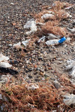 Sahilde deniz kirliliği, deniz kıyısında çöp dolu plastik şişeler.