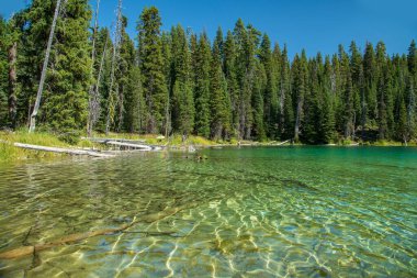 ABD, Pasifik Kuzeybatı, Oregon, Deschutes İlçesi, Desparutes Ulusal Ormanı, Mavi Göl