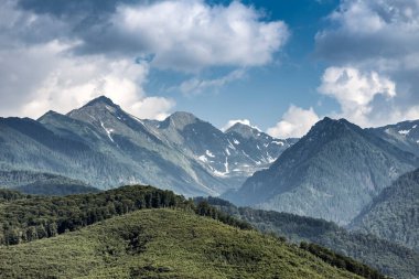 beautiful landscape of the mountains and trees