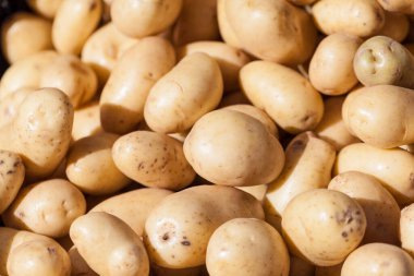 Los Angeles 'taki çiftçi pazarında çiğ patates.