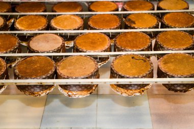 Taze pişmiş ekmek somunları