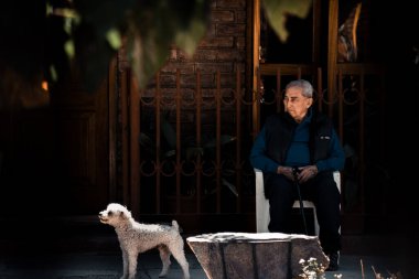 Yaşlı adam sopasıyla köpeğinin yanında oturuyor.