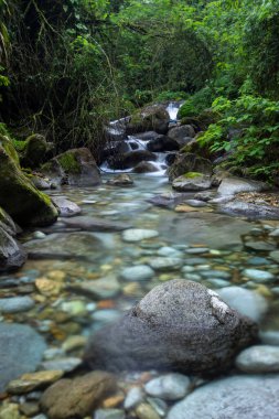 Vahşi yeşil arazi üzerinde mavi kristal berrak su havuzu olan güzel Atlantik yağmur ormanı nehri, Serrinha do Alambari, Serra da Mantiqueira, Rio de Janeiro, Brezilya